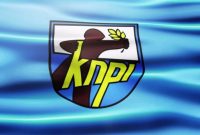 Logo KNPI - Istimewa