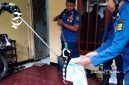 Ular berbisa masuki rumah Kasek SMAN 5 Sukabumi - Istimewa