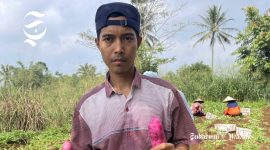 Ketua Kelompok Usaha Bersama (KUB) Agrobisnis Akay Trisula, Muklis Rahayu - Dok. Pribadi