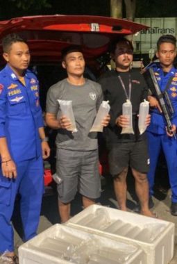Baharkam Polri gagalkan penyeludupan 11 ribu benih lobster di Sukabumi