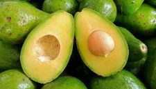 Buah alpukat - Ist