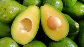 Buah alpukat - Ist