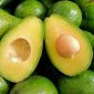 Buah alpukat - Ist