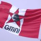 Bendera Gerakan Mahasiswa Nasional Indonesia (GMNI) - Ist