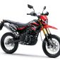 Kawasaki D-Tracker 250 - Kawasaki