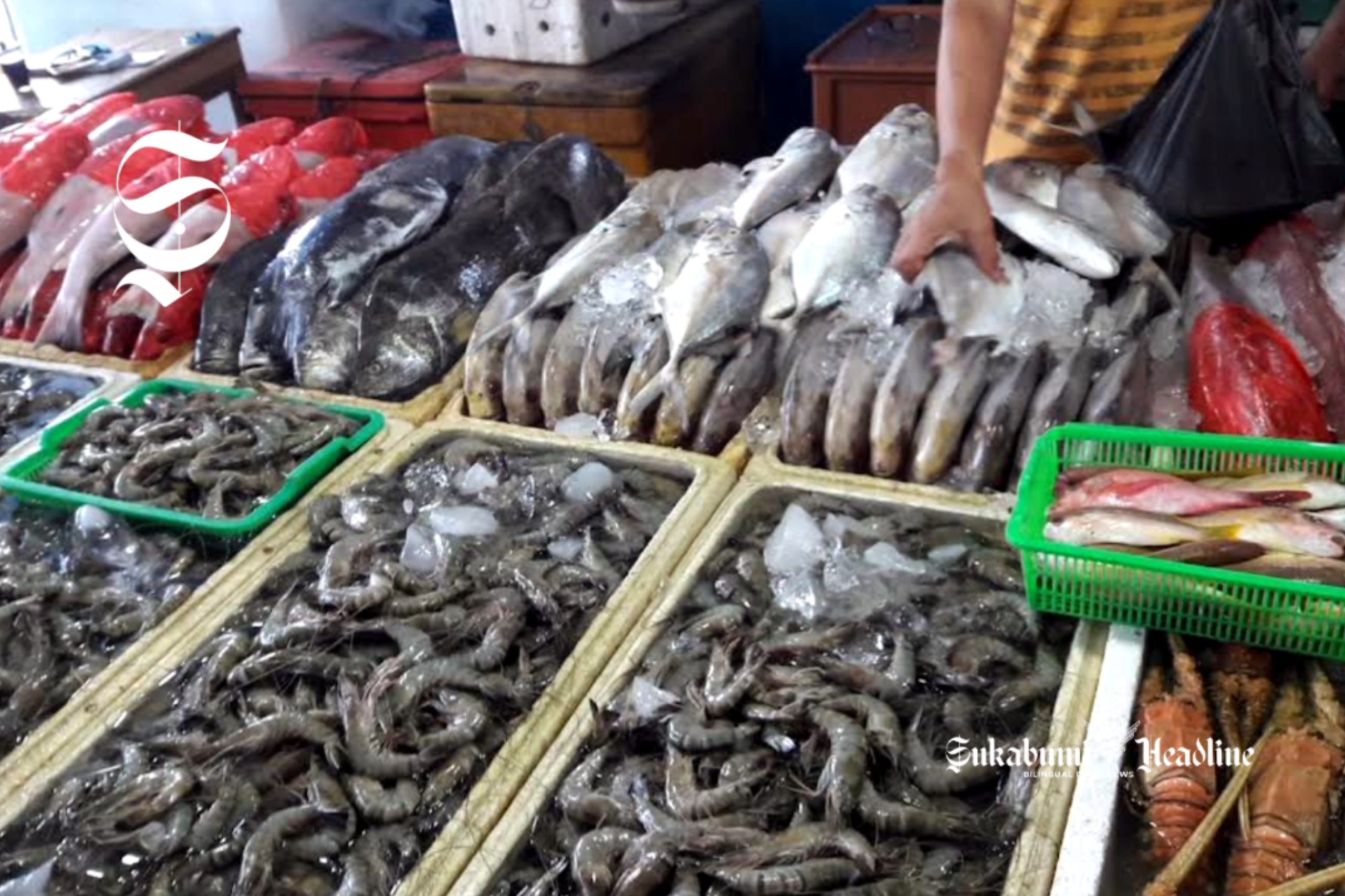 Penjual ikan di TPI Pelabuhanratu