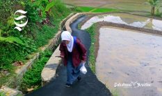Berlaku besok, begini suara pelajar Sukabumi soal jam masuk 06.30 dan 5 hari sekolah