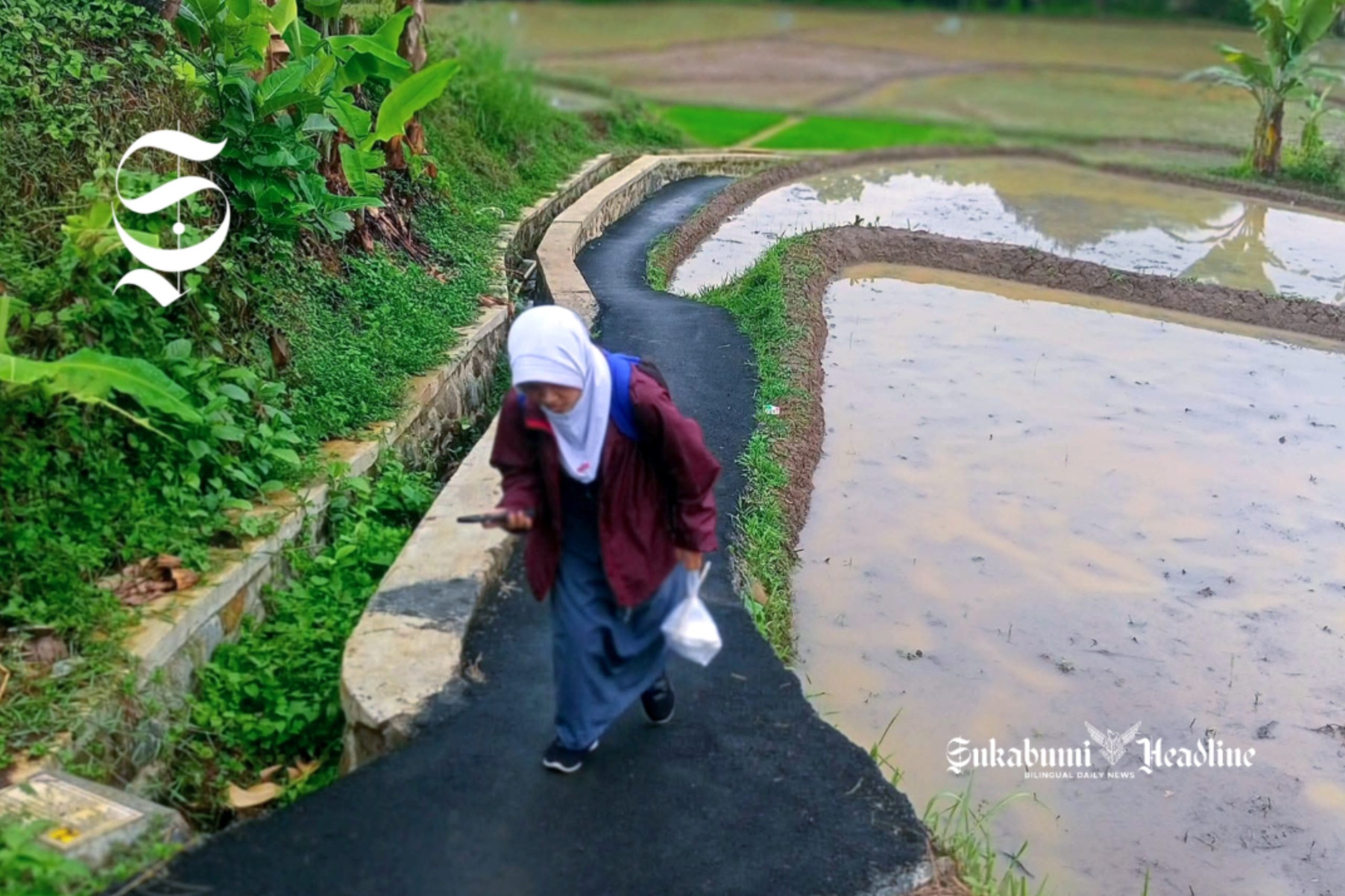 Puluhan ribu pria Kabupaten Sukabumi urus rumah tangga, setengah juta wanita bekerja 2 Salah seorang pelajar di Kabupaten Sukabumi pulang sekolah melewati sawah