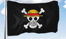 Kibarkan bendera One Piece bukan tindak pidana