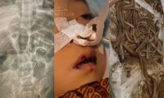 5 pejabat pusat komentari kematian balita Sukabumi, dari menteri hingga Ketua DPR RI