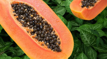 7 manfaat biji pepaya: Stabilkan gula darah, cegah kanker, kesehatan liver dan jantung