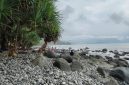 Pantai Cempaka Ratu, Sukabumi - Dede Eko S