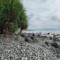 Pantai Cempaka Ratu, Sukabumi - Dede Eko S