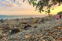 Pantai Cempaka Ratu, Sukabumi - Dede Eko S