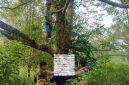 Dulah, depresi faktor ekonomi, pria di Surade Sukabumi tewas tergantung di pohon - Polsek Surade