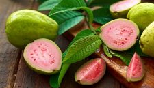 Jambu biji - Ist