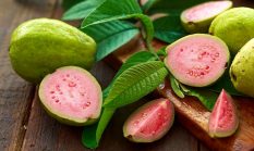 Sukabumi sumbang berapa? Indonesia juara dunia produksi jambu biji