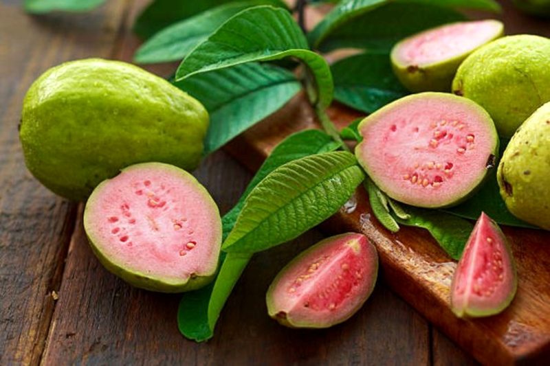 Jambu biji - Ist