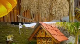 Padi dijemur dengan cara diikat, dan leuit atau bangunan khas Sunda tempat menyimpan padi di SDN 3 Surade Sukabumi - Ist