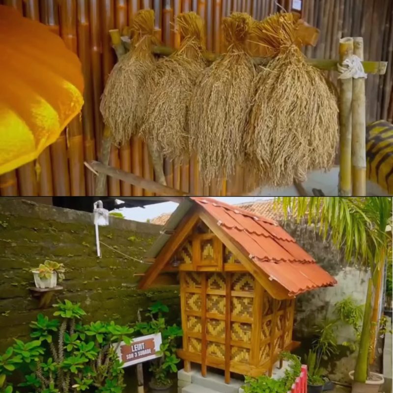Padi dijemur dengan cara diikat, dan leuit atau bangunan khas Sunda tempat menyimpan padi di SDN 3 Surade Sukabumi - Ist