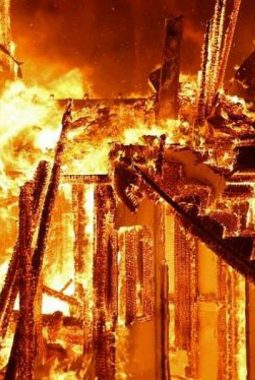 Tabung gas bocor, 20 ribu ekor ayam hangus terbakar di Cikembar Sukabumi