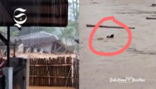 Bencana alam di Purabaya Sukabumi, rumah hingga kambing terbawa banjir - Neng Amy