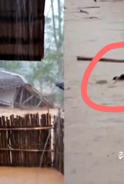 Bencana alam di Purabaya Sukabumi, rumah hingga kambing terbawa banjir