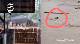 Bencana alam di Purabaya Sukabumi, rumah hingga kambing terbawa banjir - Neng Amy