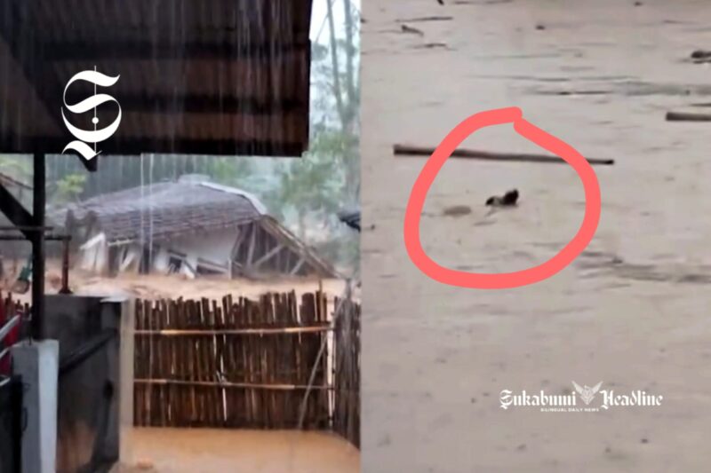 Bencana alam di Purabaya Sukabumi, rumah hingga kambing terbawa banjir - Neng Amy