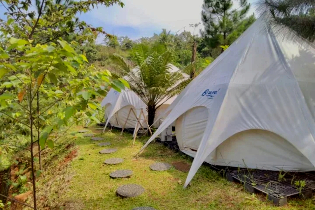 Bravo Adventure - Bravo Adventure