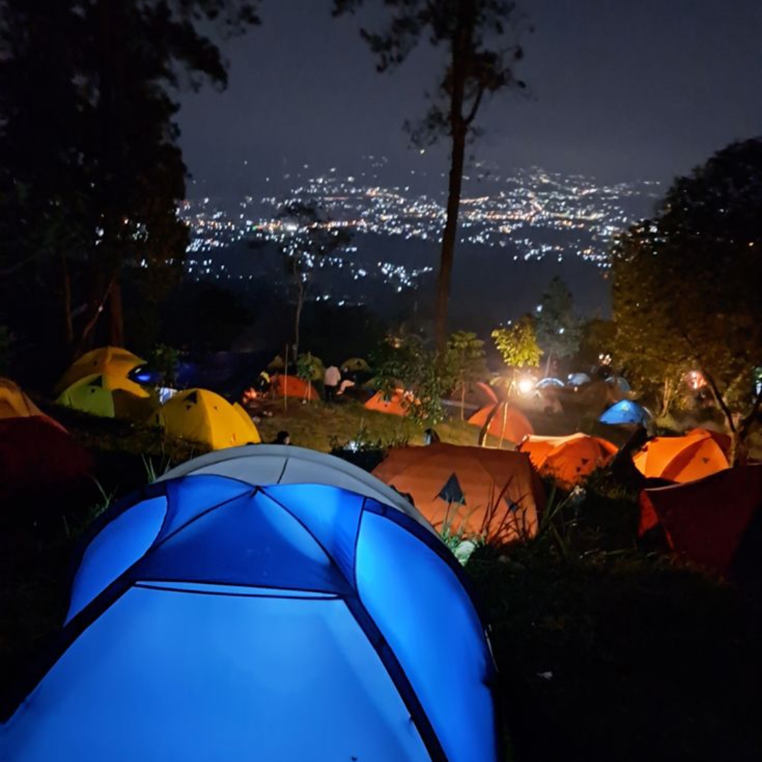 Gunung Walat Forest - Gunung Walat Forest