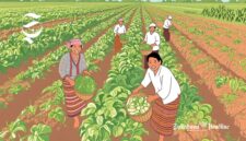 Ilustrasi pelaku IKM Agro - sukabumiheadline.com