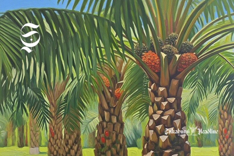 Ilustrasi perkebunan kelapa sawit - sukabumiheadline.com