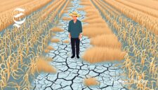 Ilustrasi petani mengalami gagal panen akibat kekeringan - sukabumiheadline.com