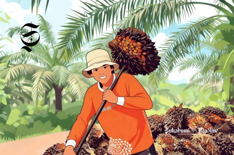 Ilustrasi petani sawit di perkebunan kelapa sawit - sukabumiheadline.com