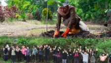 Mitigasi bencana, aksi penanaman pohon di Gunung Karamat Sukabumi - Perhutani