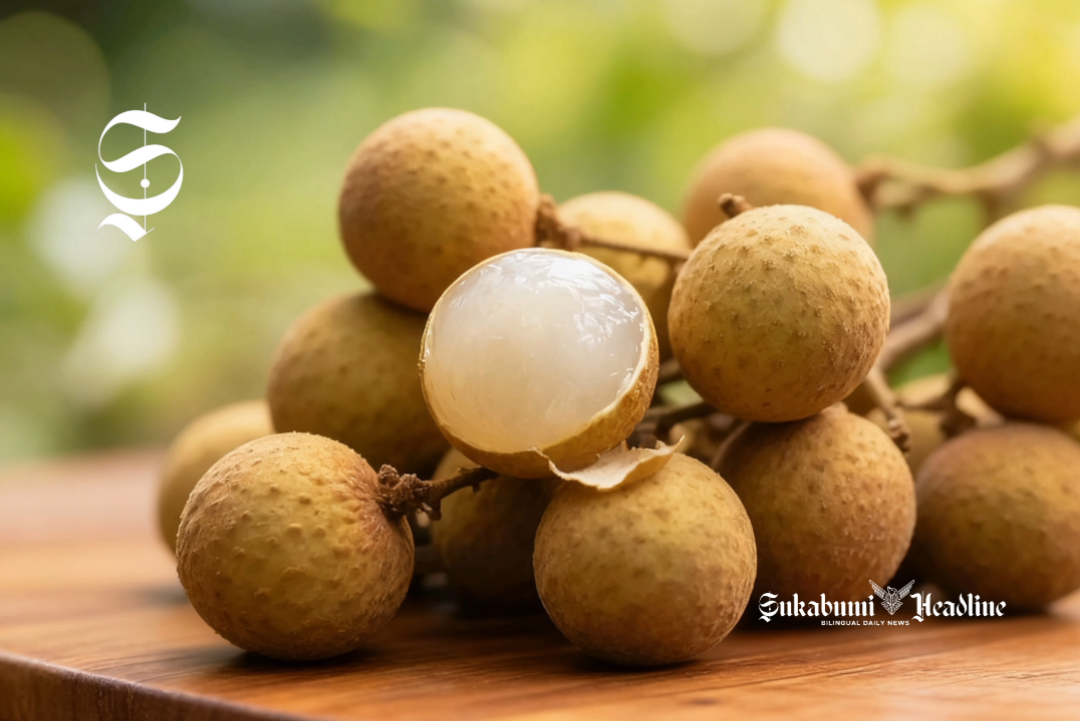 Buah lengkeng atau kelengkeng - sukabumiheadline.com