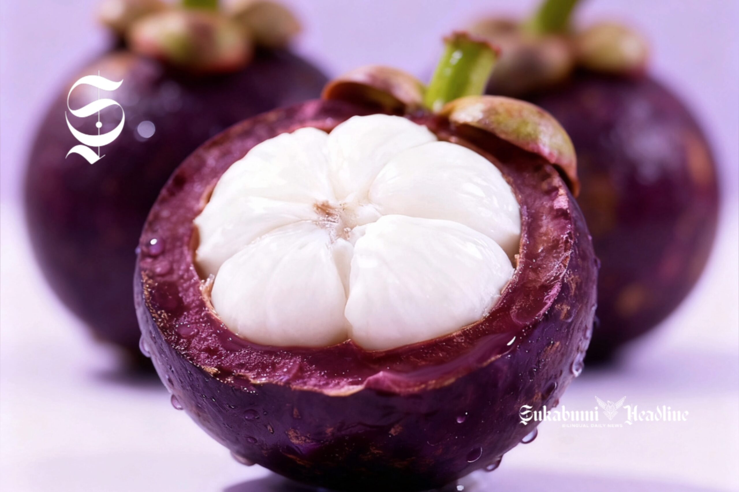 Buah manggis - sukabumiheadline.com