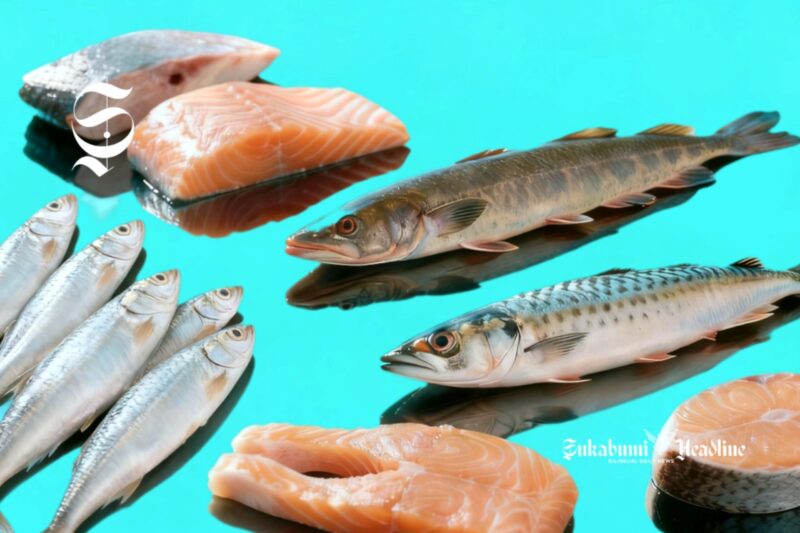 Ikan salmon, tuna, gabus, tenggiri, sarden - sukabumiheadline.com