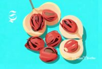 Ilustrasi buah dan biji pala - sukabumiheadline.com