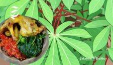 Ilustrasi daun singkong dan lalapan daun singkong - sukabumiheadline.com