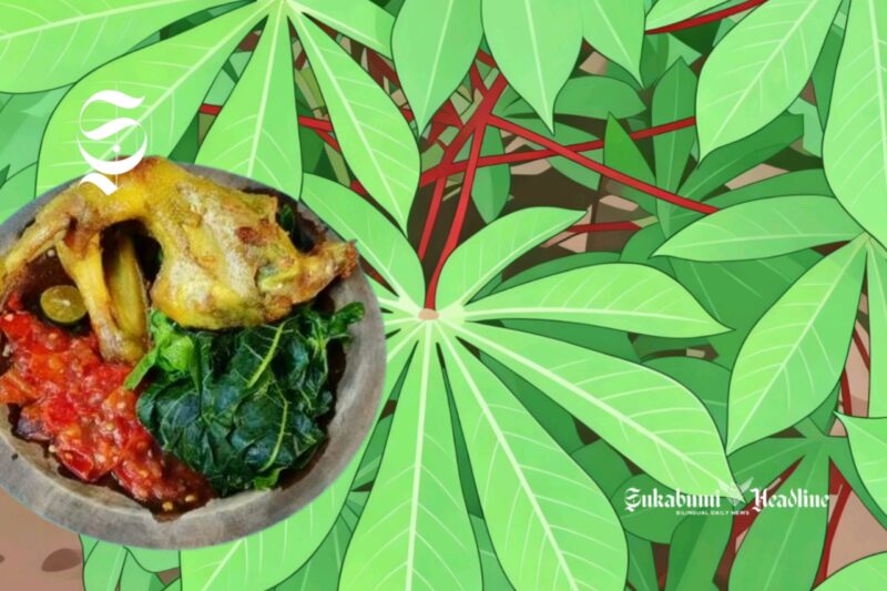 Ilustrasi daun singkong dan lalapan daun singkong - sukabumiheadline.com