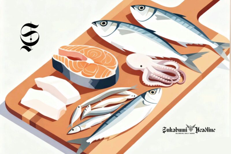 Ilustrasi ikan tangkapan nelayan di laut - sukabumiheadline.com