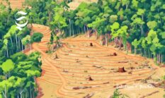 Mengenal jenis, dampak kejahatan lingkungan di Sukabumi dan hukuman bagi pelaku