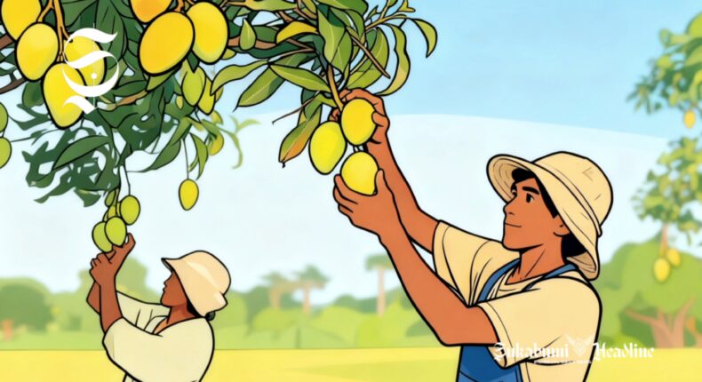 foto slider headline