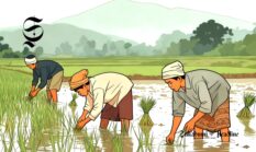 Lumbung pangan, petani Sukabumi ngumpul di 10 kecamatan ini