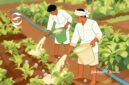 Ilustrasi petani sedang menyiram tanaman dengan cairan sabun colek - sukabumiheadline.com