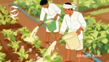 Ilustrasi petani sedang menyiram tanaman dengan cairan sabun colek - sukabumiheadline.com