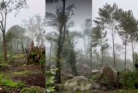 Kondisi lereng Gunung Salak, Javana Resort via jalur pendakian Desa/Kecamatan Cidahu, Kabupaten sukabumi rusak - @yuddychrisnandi