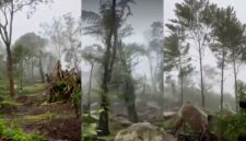 Kondisi lereng Gunung Salak, Javana Resort via jalur pendakian Desa/Kecamatan Cidahu, Kabupaten sukabumi rusak - @yuddychrisnandi